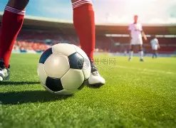 李楠加盟江,苏男篮担任,顾问,球盟会官网,H5球盟会官网,球盟会官网在线娱乐平台