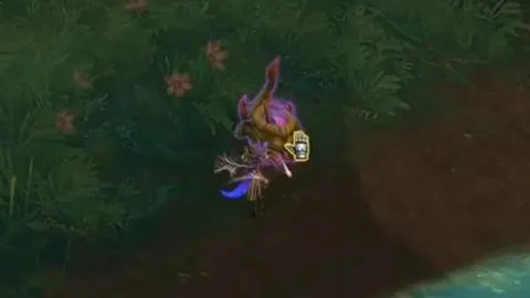 孔蒂叹惜：克瓦拉茨赫利亚二次提出离队申请